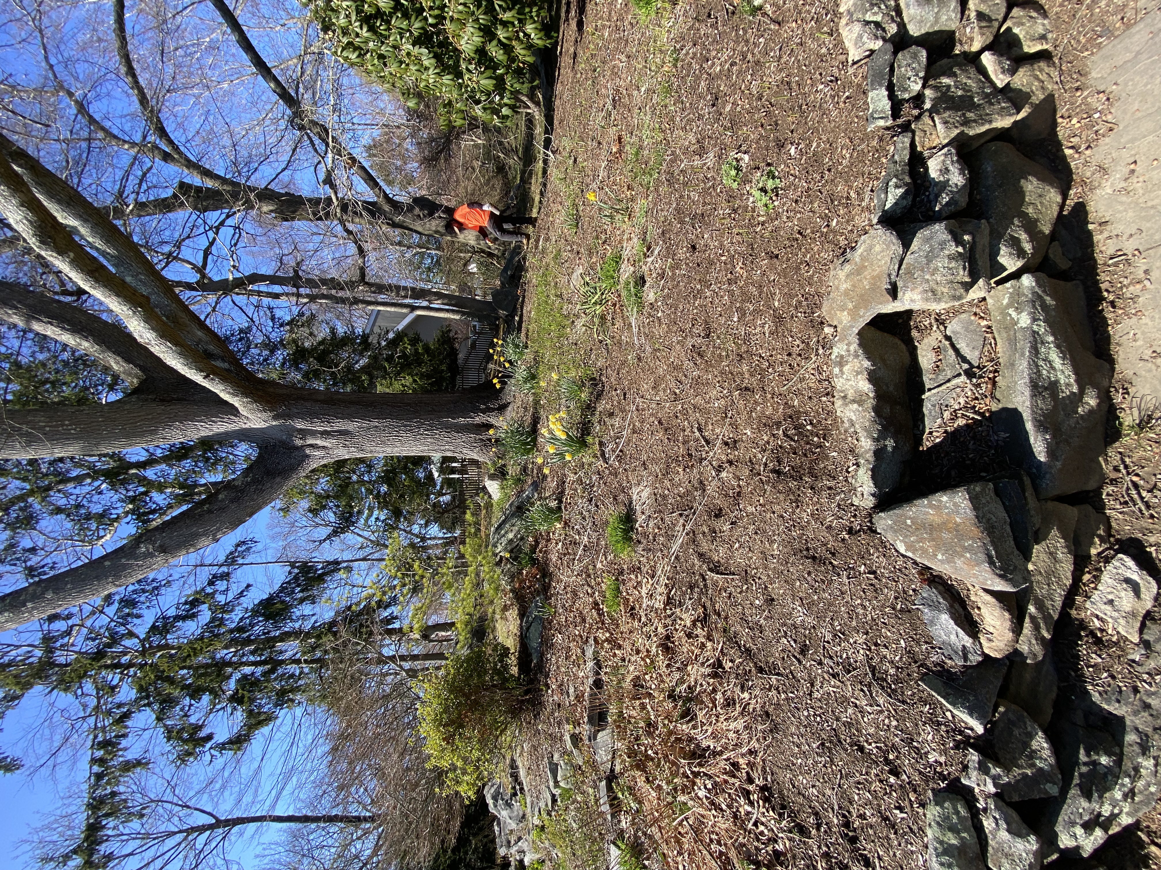 New London landscaping services