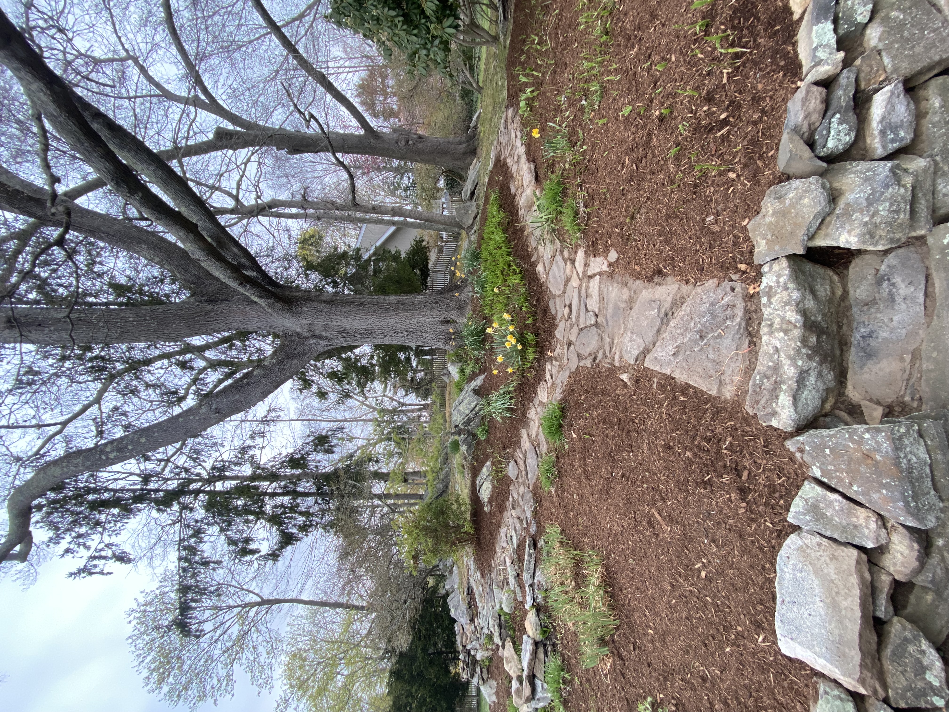 Waterford landscaping services
