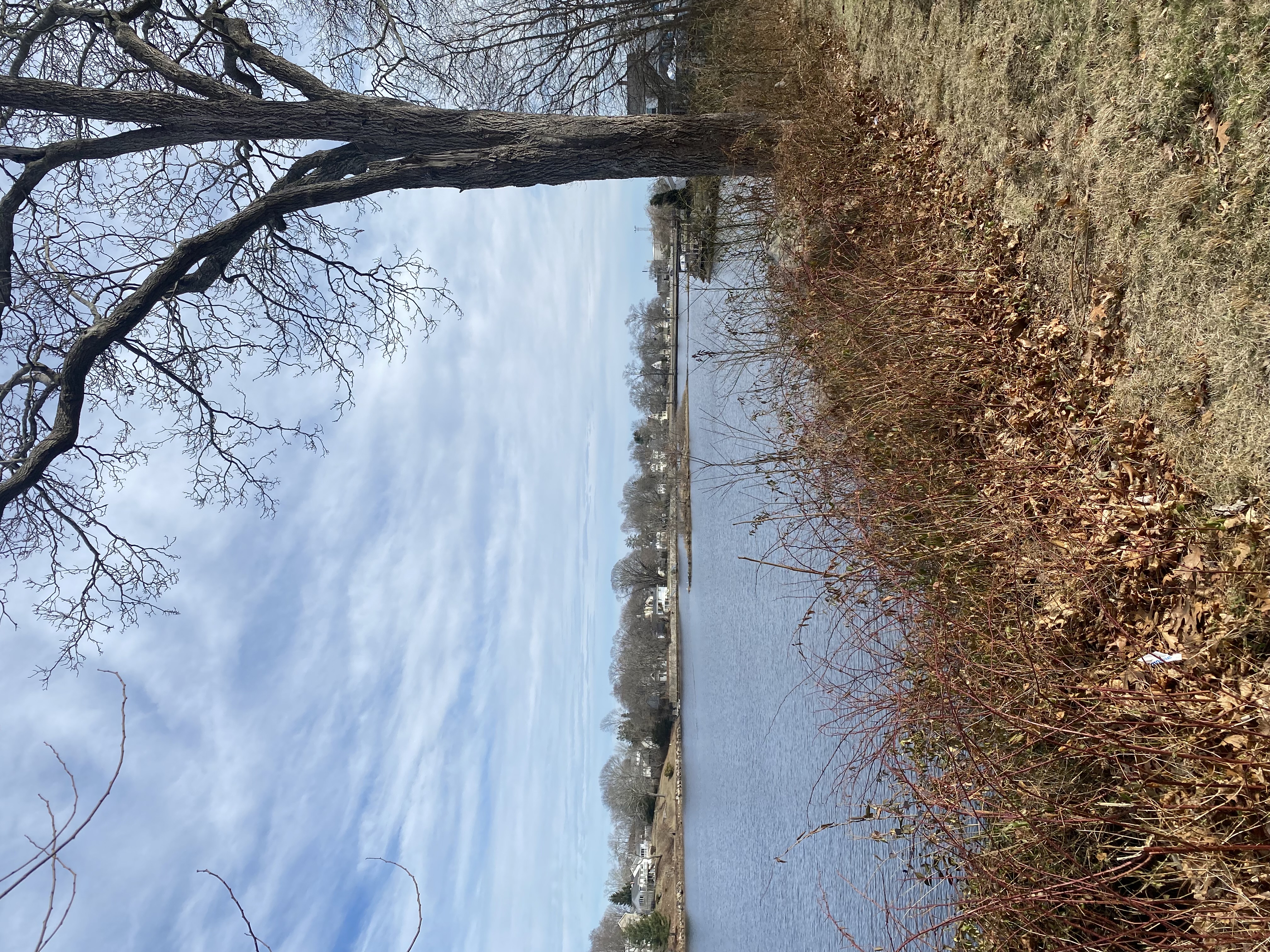 Mulching Services in New London CT