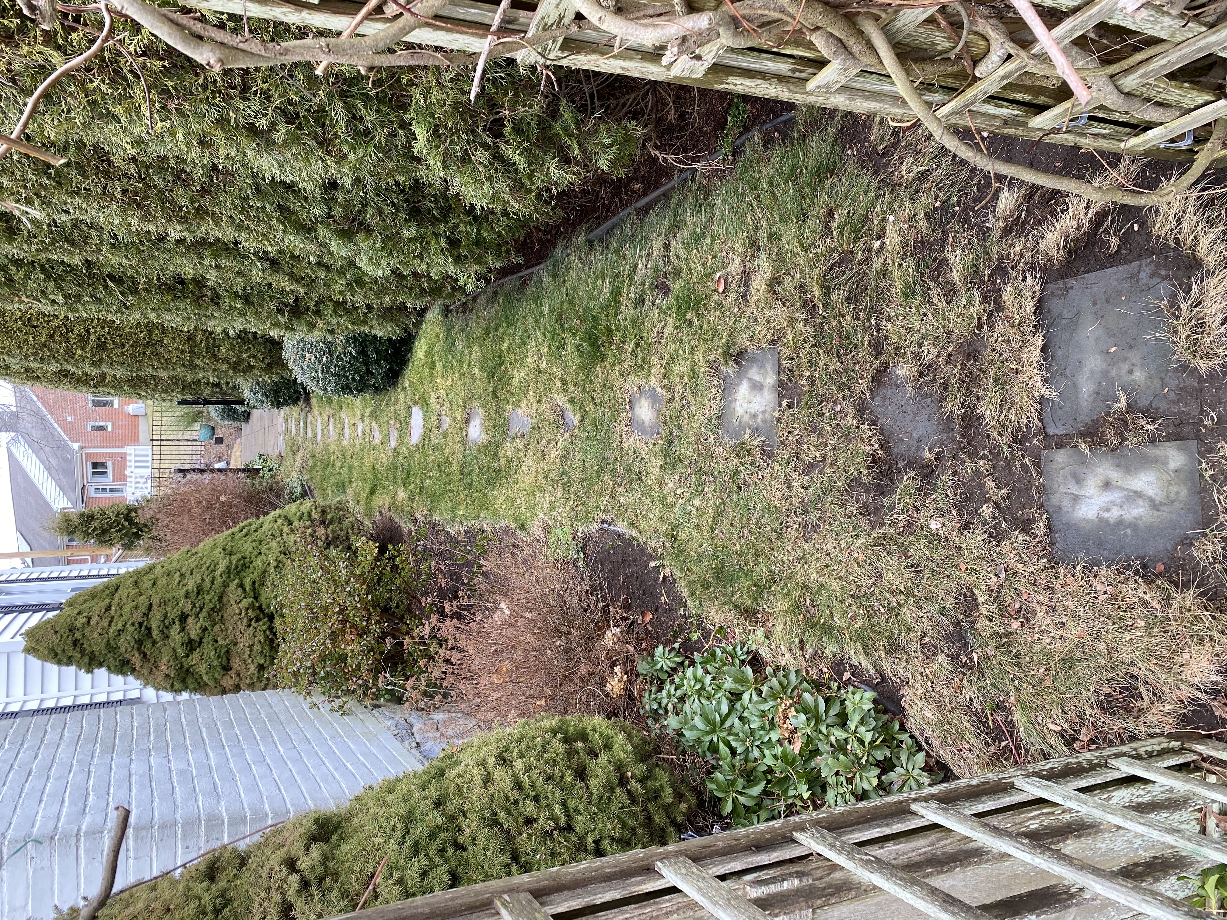 Professional landscapers serving New London, CT