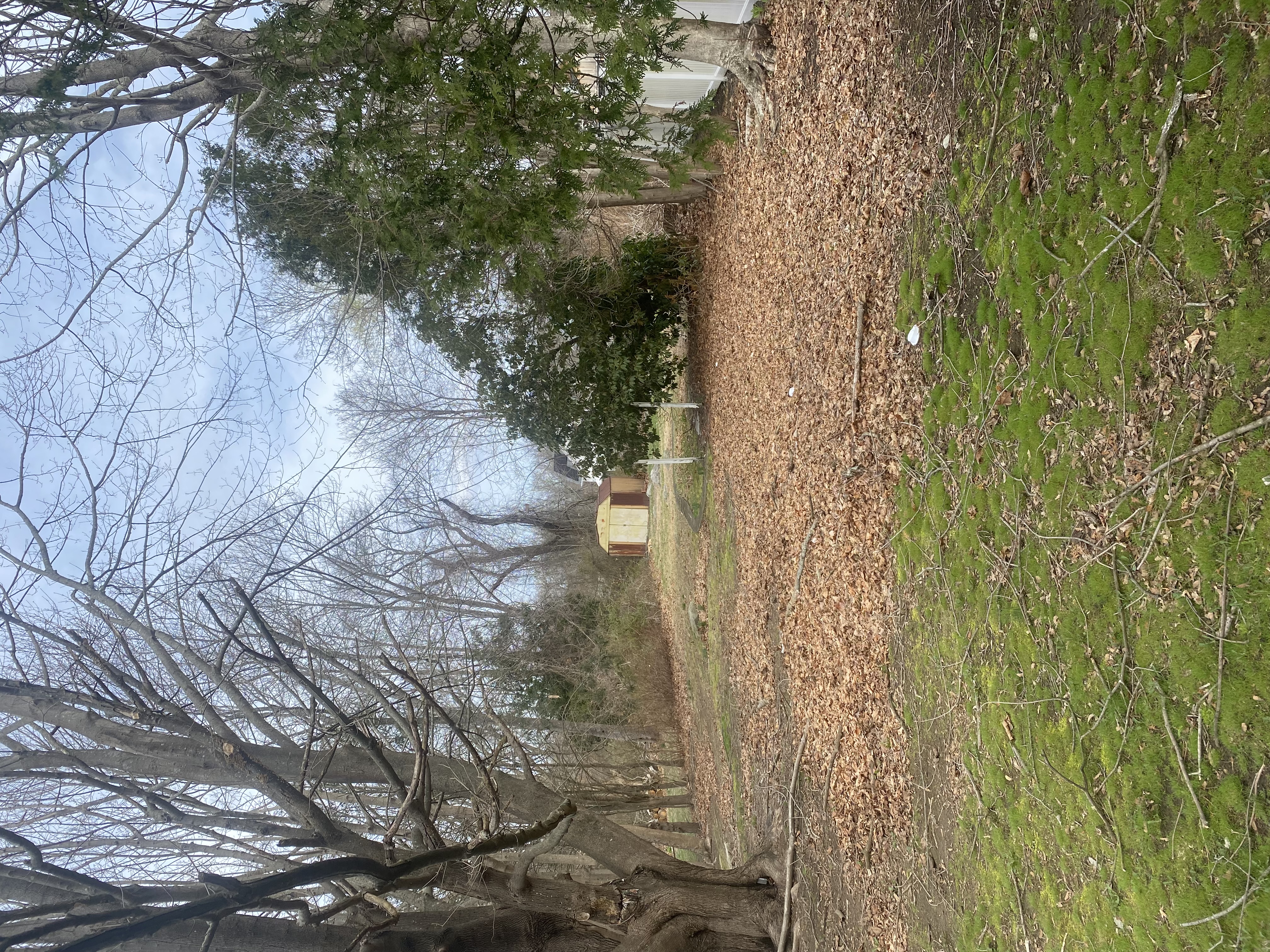 grass planting services in New London