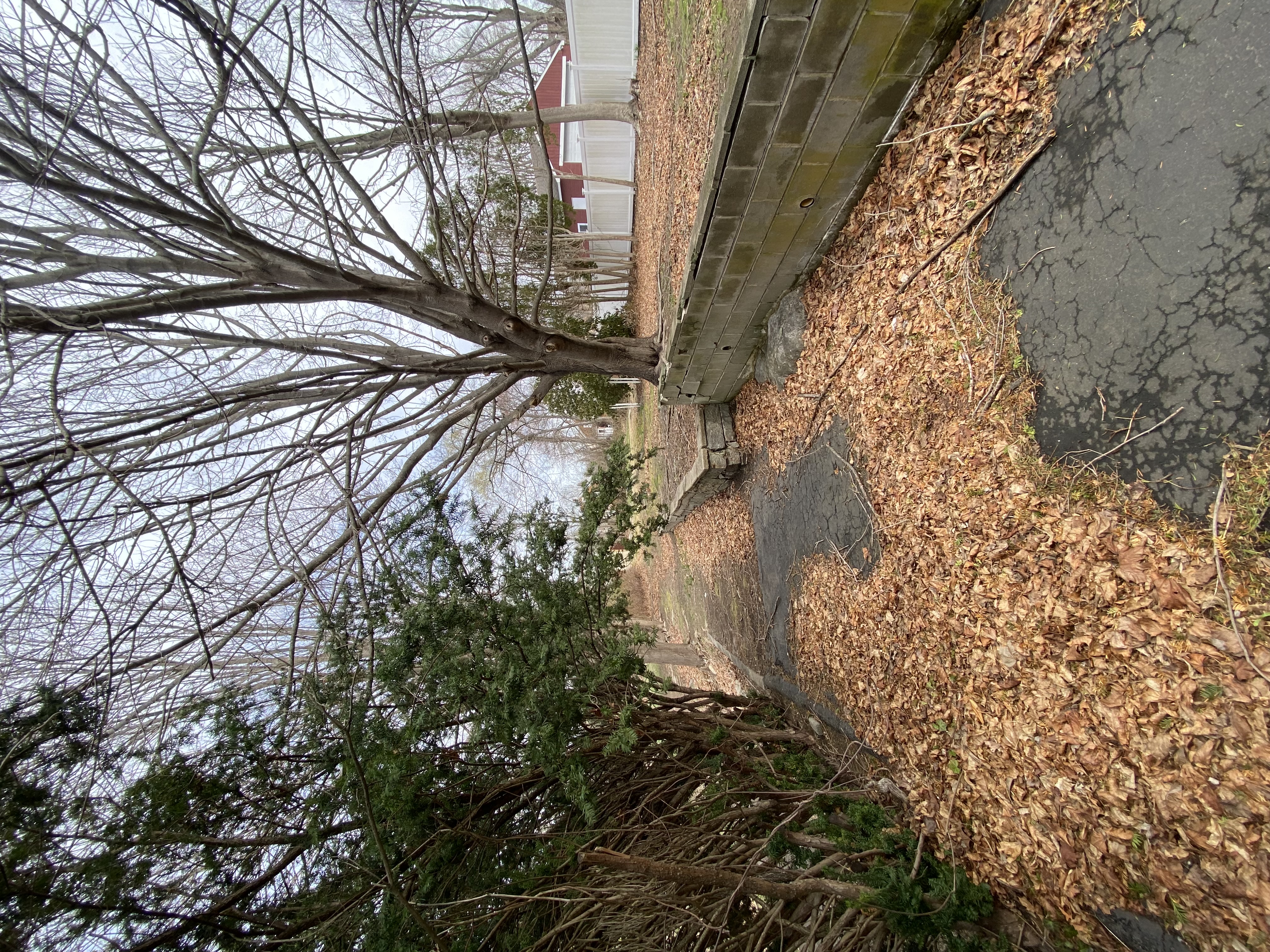 Waterford CT landcsapers