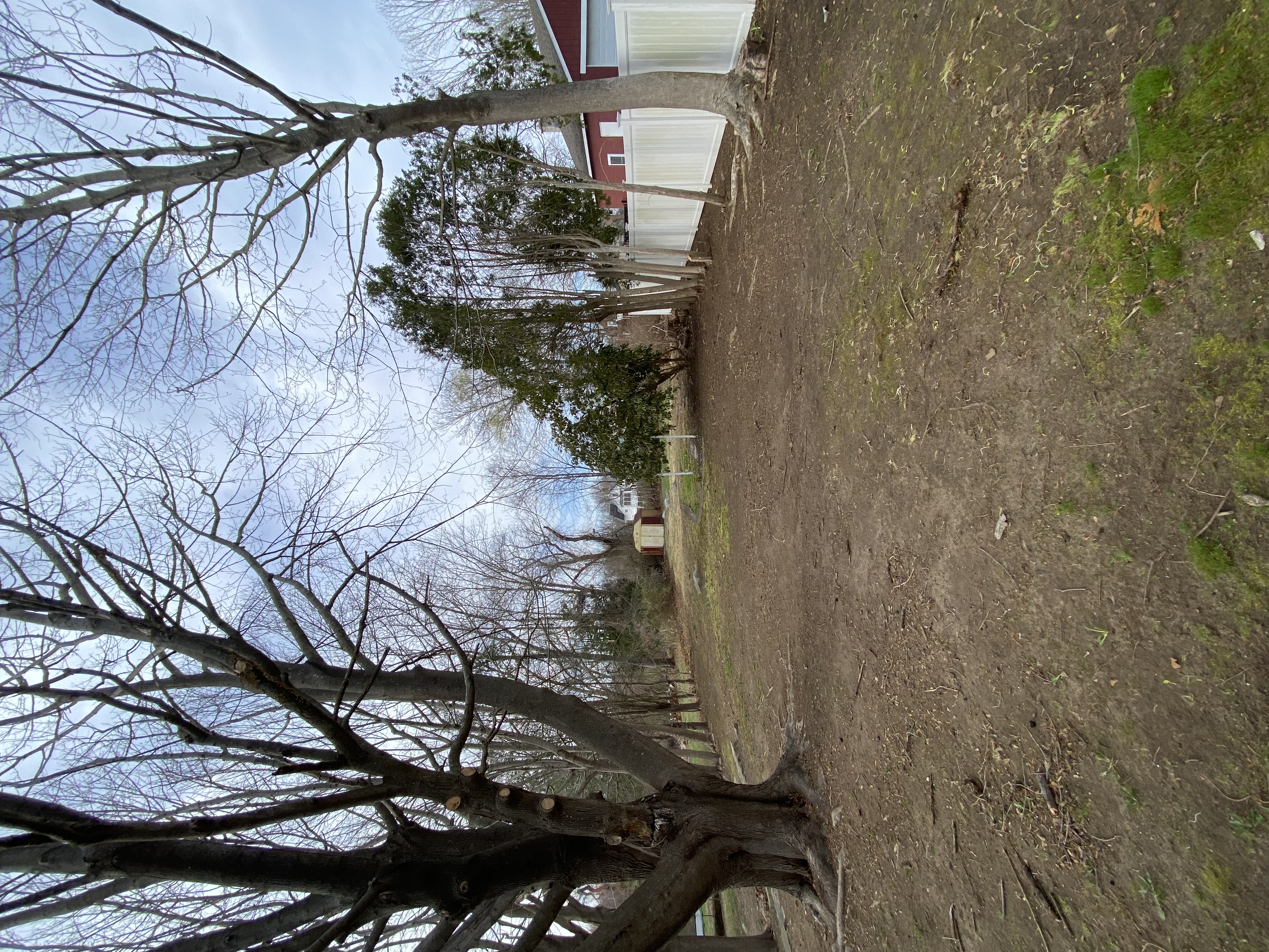 Fresh mulch installation and garden bed landscaping in New London Connecticut