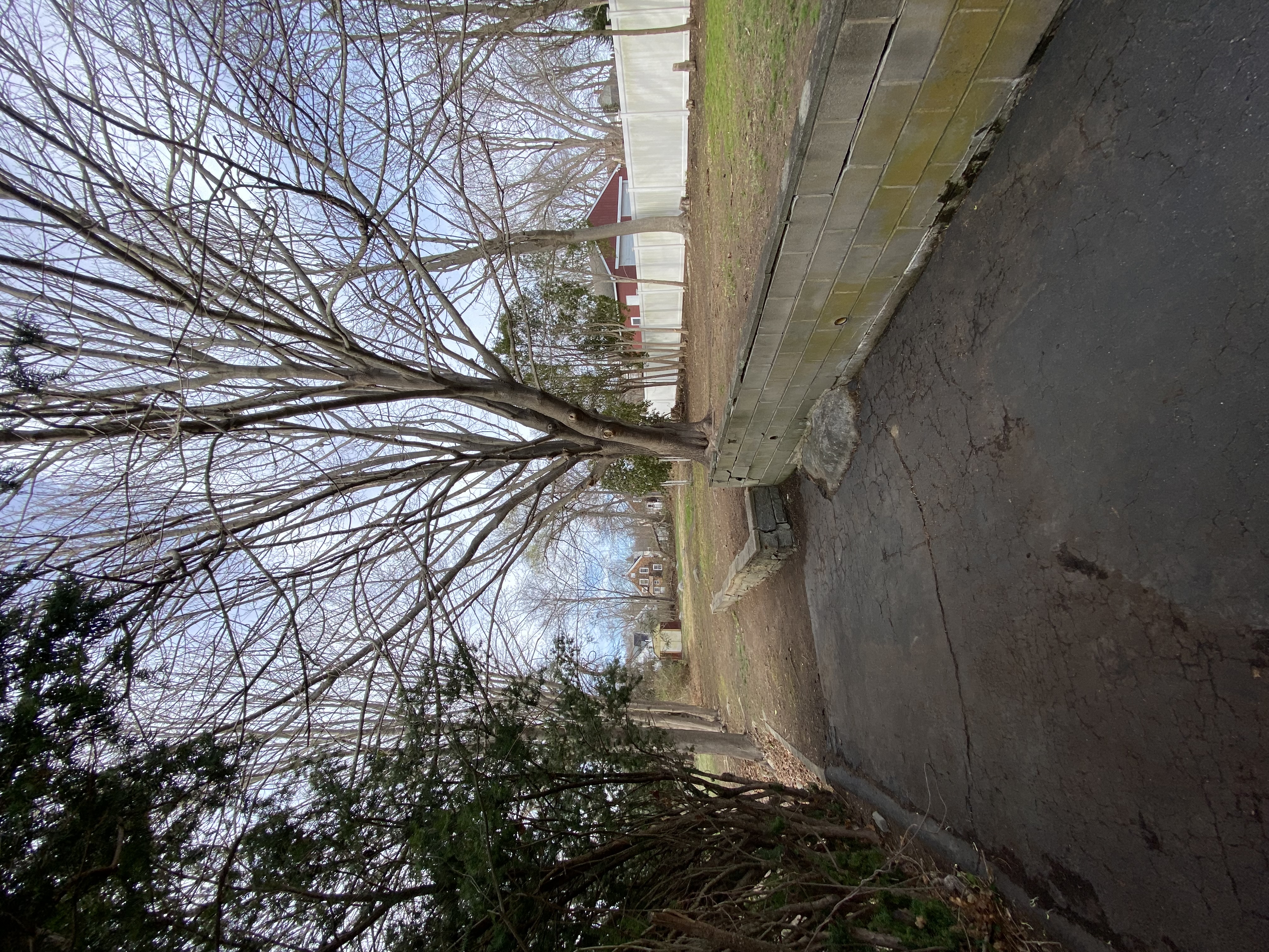 Stone walkway installation project completed by Black Truck Landscaping in Niantic CT