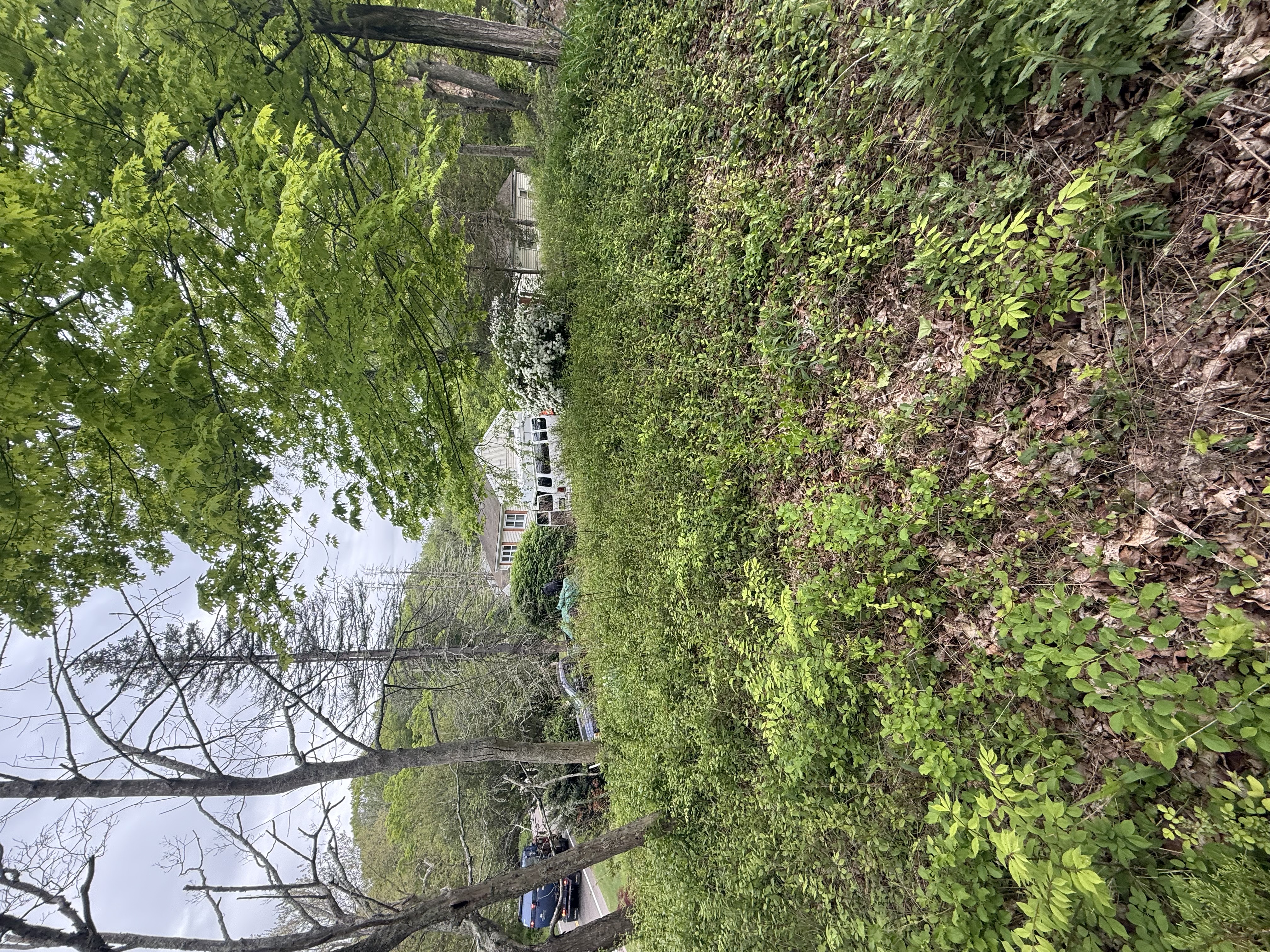 Grass Cutting services in New London